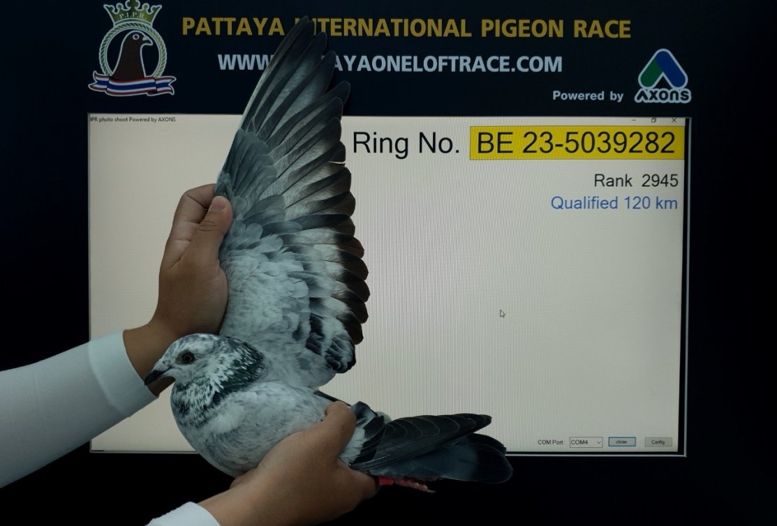 27. (1.drop) Final Pattaya International PIPR 2024