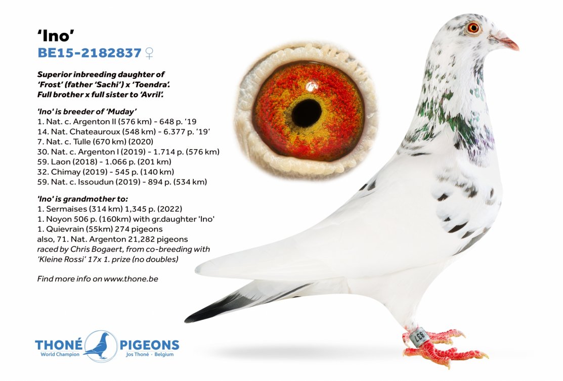 New top reference: 1. Sermaises (314 km) 1,345 pigeons