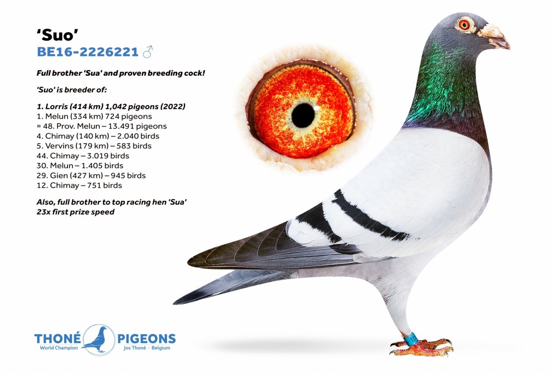 1. Lorris (414km) 1,042 pigeons