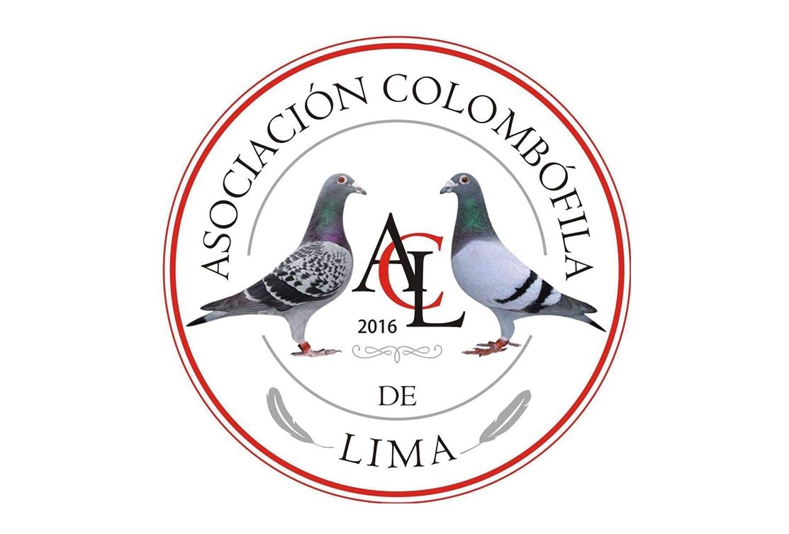 Asociación Colombófila de Lima, un reportaje