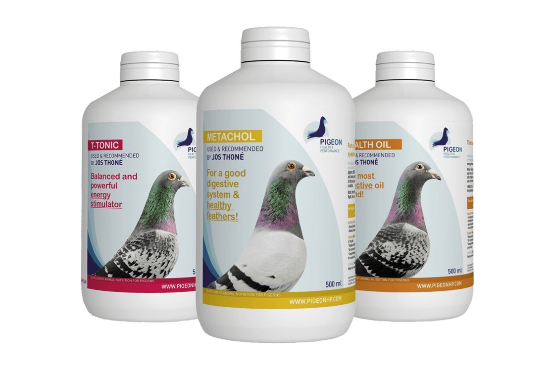 100% ready for the moulting season? This is how we do it