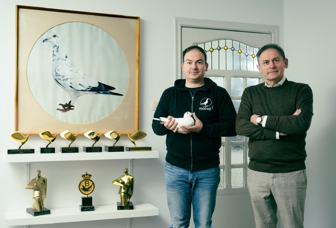 Now online! Auction of the Racing Team + Group of Young Birds