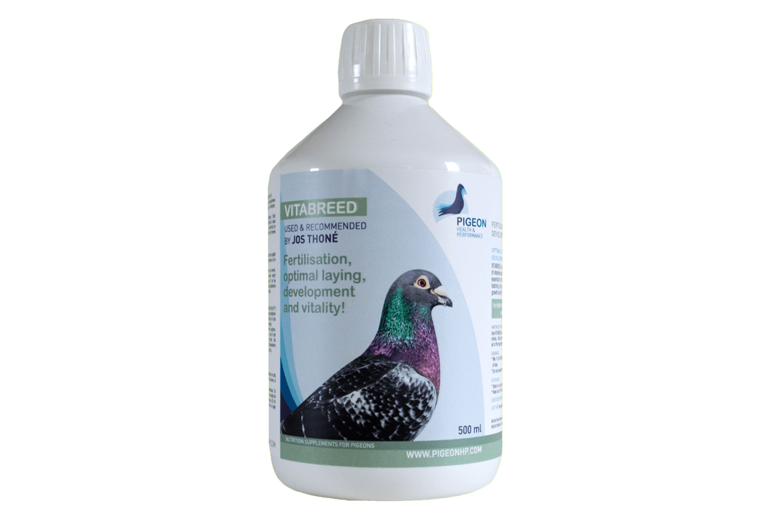 Pigeon Health & Performance, used & recommended by Jos Thoné